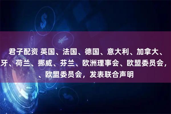 君子配资 英国、法国、德国、意大利、加拿大、爱尔兰、西班牙、荷兰、挪威、芬兰、欧洲理事会、欧盟委员会，发表联合声明